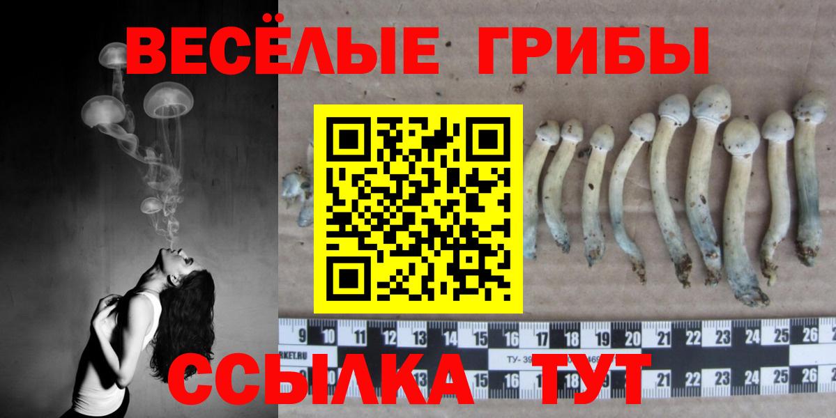 Псилоцибиновые грибы GOLDEN TEACHER  Галлюциногенные грибы Cubensis  Нововоронеж  Вход с VPN 