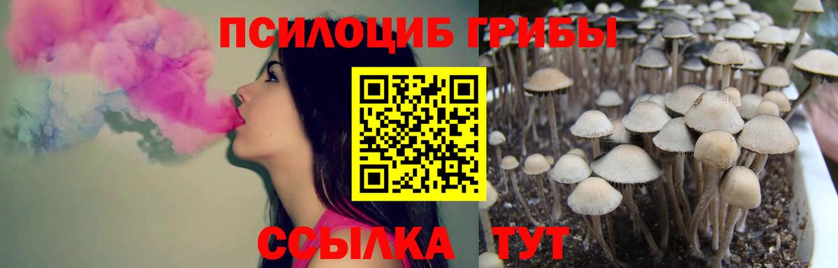ГАШ  Нововоронеж  Вход с VPN  Меф кристаллы  Канабис  Бошки Шишки  Где купить наркотики?  ГАШ  Cocaine 